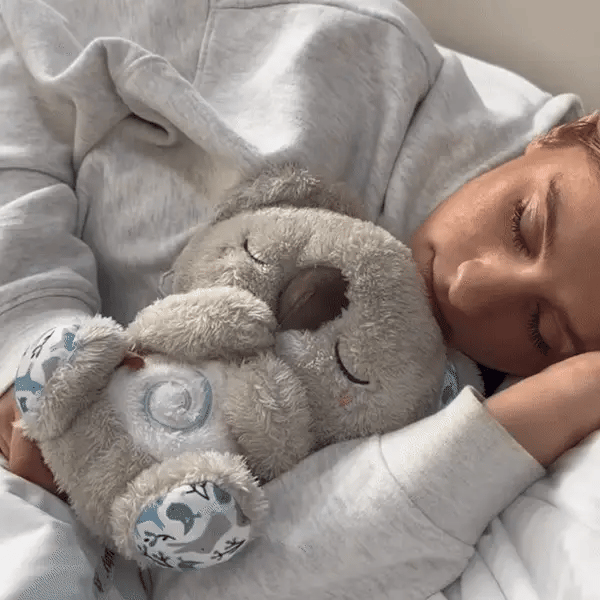 Dihajoča Koala SL
